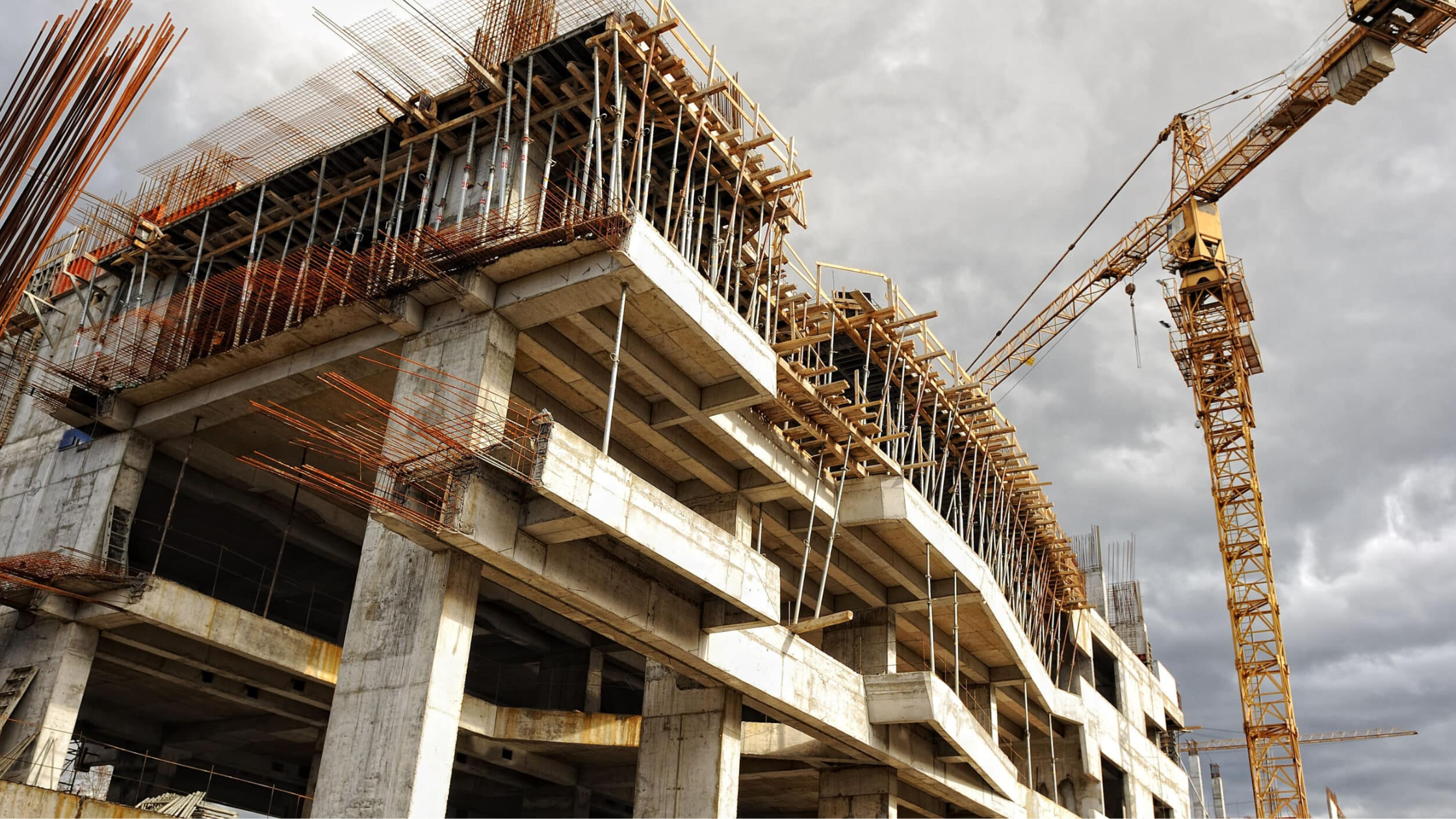 Untitled design - 2026-03-07T102025.481